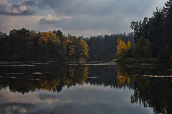 Sonbahar Sezonu Orman Gölü — Stok fotoğraf
