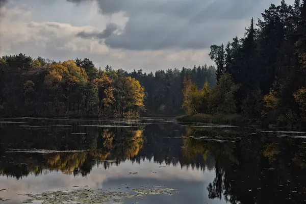 Sezon Jesień Las Jezioro — Zdjęcie stockowe
