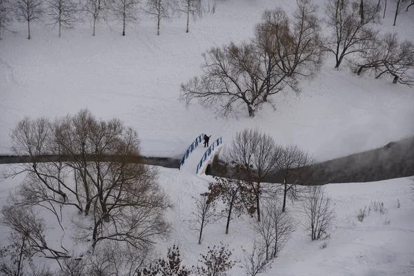 Russische Winter Stadspark Winter Top Uitzicht Moskou — Stockfoto