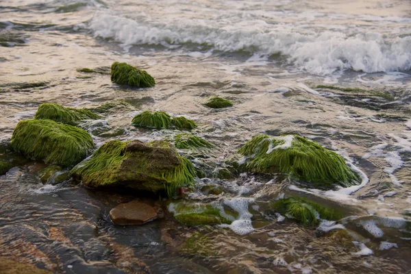 Побережье Черного моря в Керчи. Керченский полуостров — стоковое фото