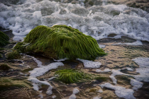 Costa do Mar Negro em Kerch. Península de Kerch, Crimeia — Fotografia de Stock