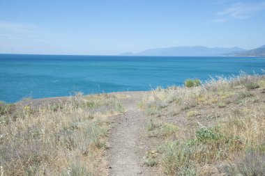 Karadeniz'de yaz manzarası