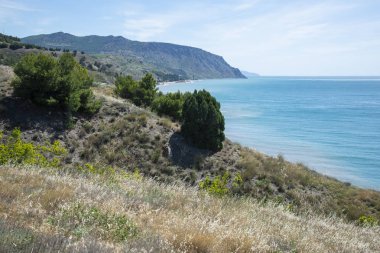 Karadeniz'de yaz manzarası