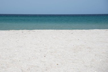 Karadeniz'de yaz manzarası