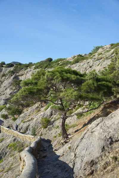 Sendero de Golitsyn (Falcon trail), Crimea —  Fotos de Stock