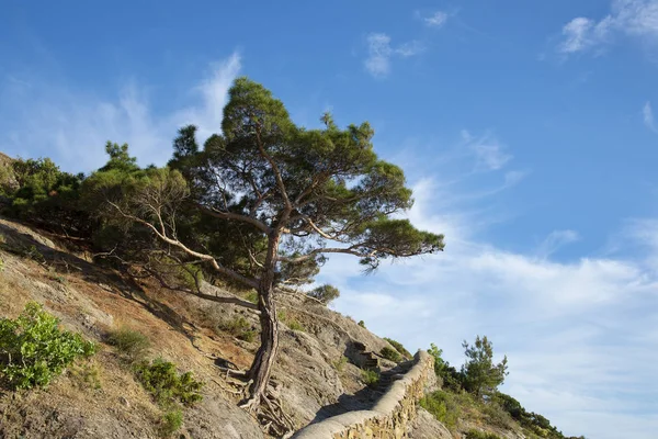 Golitsyn trail (Falkenweg), Krim — Stockfoto