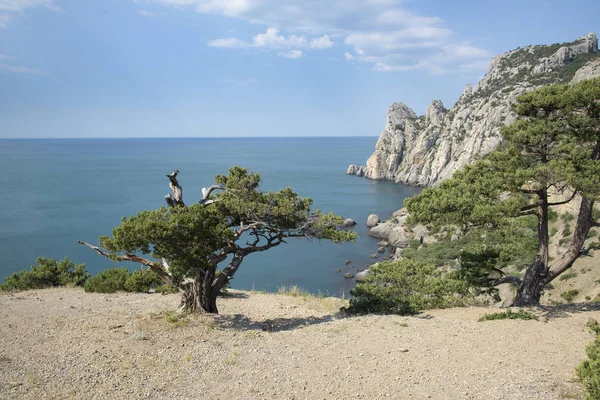 Крымский полуостров, Новый Свет — стоковое фото