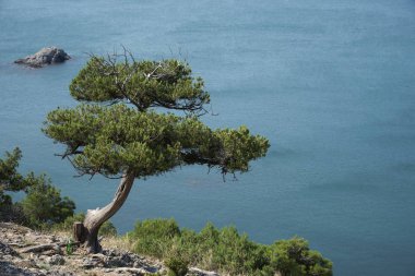 Blue Bay, Cape Kapchik'ten manzara. Novy Svet, Kırım