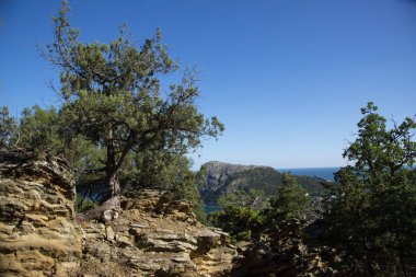 Deniz kıyısı ve dağları manzarası, Kırım