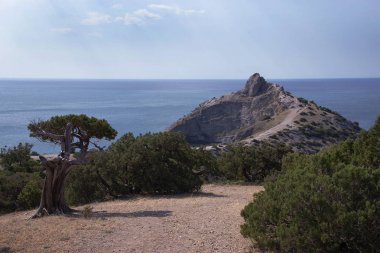 Kapchik Burnu. Novy Svet, Kırım