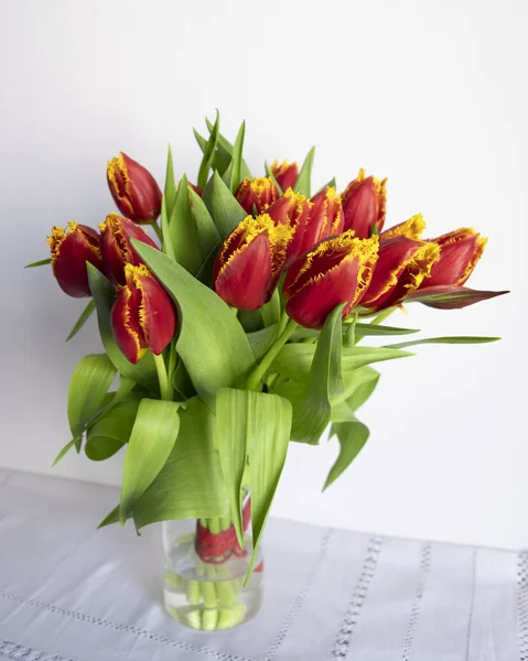 Buquê de belas tulipas vermelhas — Fotografia de Stock