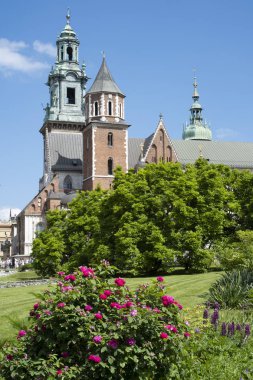 Wawel Kalesi ve Krakow, Polonya çiçekleri