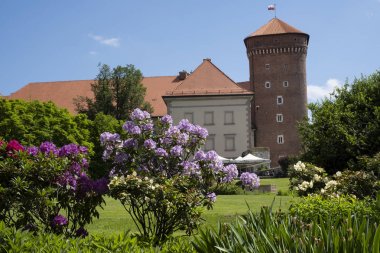 Wawel Kalesi ve Krakow, Polonya çiçekleri