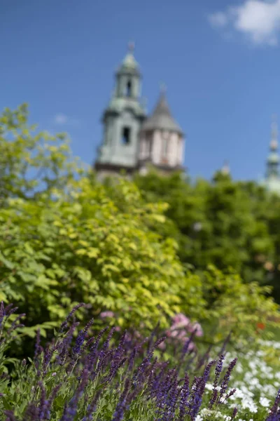 Zamek i kwiaty na Wawelu w Krakowie, Polska — Zdjęcie stockowe