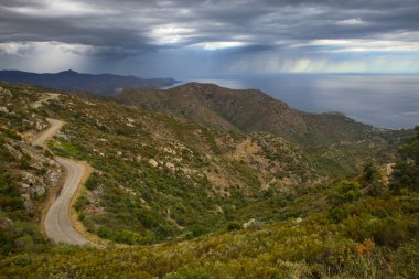 Yaz manzarası. İspanya, Katalonya