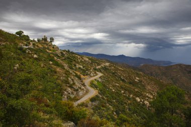 Yaz manzarası. İspanya, Katalonya
