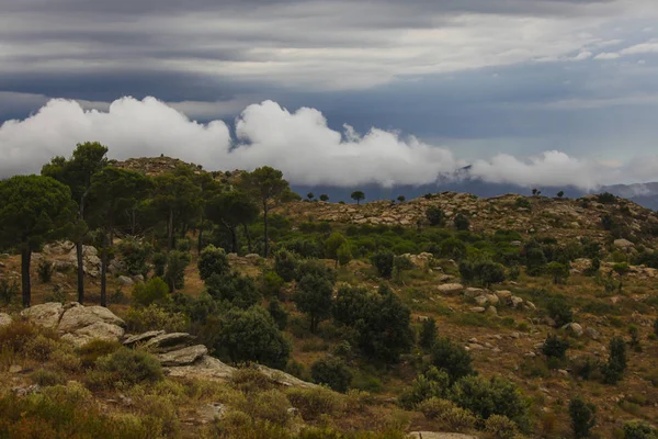 Krajobraz lato. Hiszpania, Katalonia, Costa Brava — Zdjęcie stockowe