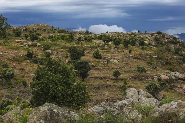 Krajobraz lato. Hiszpania, Katalonia, Costa Brava — Zdjęcie stockowe