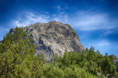 Mount Falcon, Novy Svet köyü