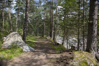 Elbrus bölgesi. Kafkas dağları, Kabardey-Balkar, Rusya
