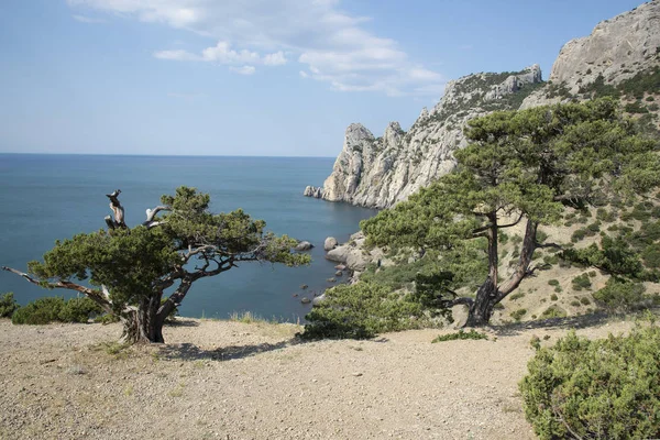 Yaz manzarası, Kırım