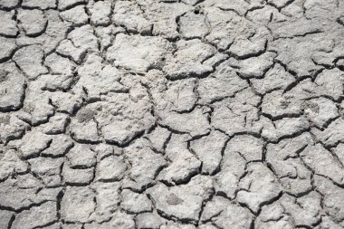 Kırboz Kırım'ın çatlak toprağı