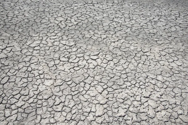 Cracked earth of the steppe Crimea — Stock Photo, Image