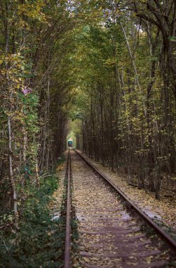 Aşk tüneli. Klevan, Ukrayna