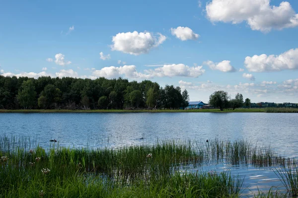 Summer landscape in the Vologda region, Russia — Stock Photo, Image