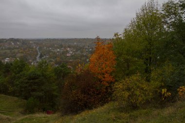 Güzel sonbahar manzarası