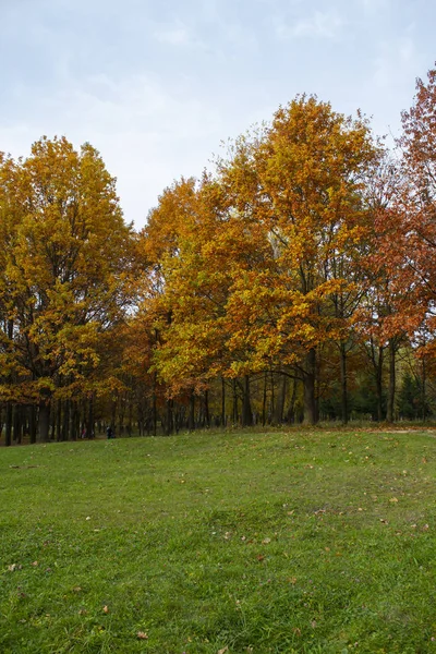 Prachtig herfstlandschap — Stockfoto