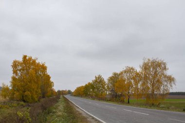 Sonbahar bulutlu günü, boş yol