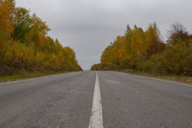Bulutlu bir sonbahar gününde boş bir yol.