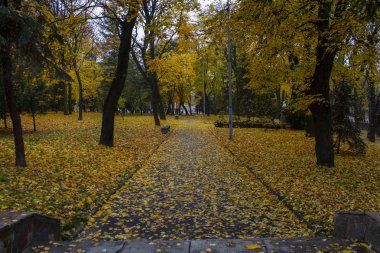 Güzel sonbahar manzarası
