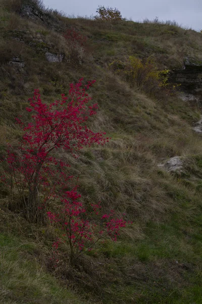 Autumn landscape — Stock Photo, Image