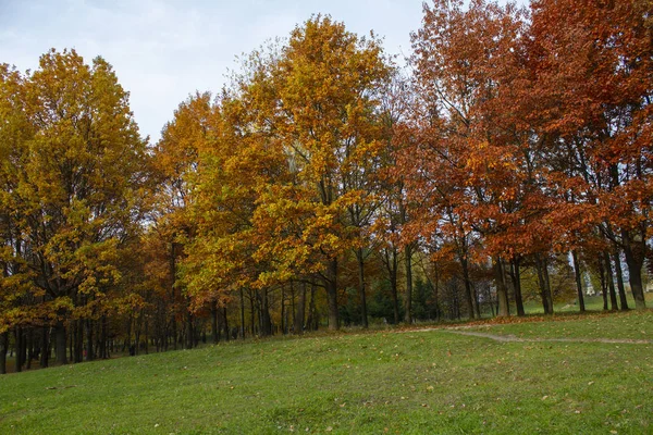Beautiful autumn park, Ukraine — Stockfoto