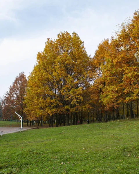 Día de otoño en el parque, Ucrania — Foto de Stock