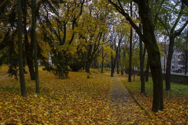 Jesienny dzień w parku, Ukraina — Zdjęcie stockowe
