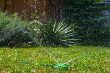 Ev bahçesi su püskürtücüsü.