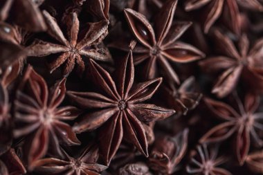 Illicium verum - yıldız anason, staranise, yıldız anason, Çin yıldızı anason ya da badian olarak bilinen bir baharat.