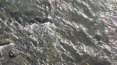 Sudaki ördekler, sonbahar zamanı