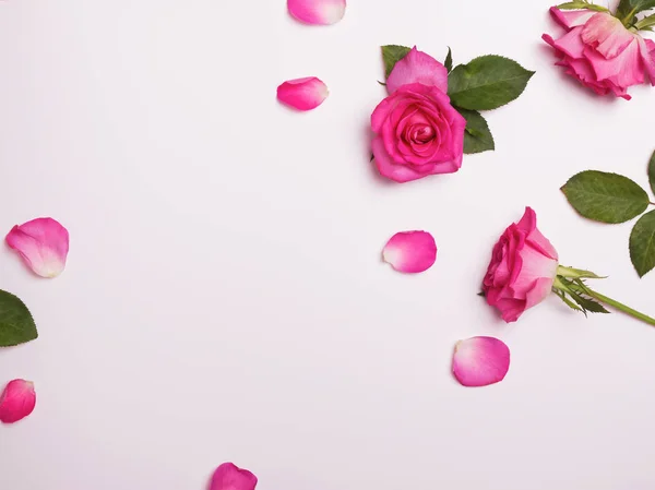 Creatieve frame met mooie roze rozen en bloemblaadjes — Stockfoto