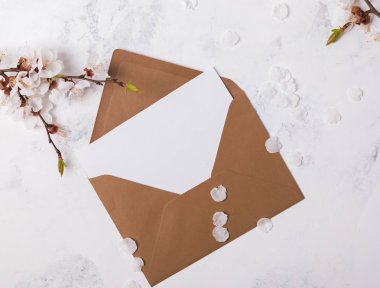 Zarf boş kağıt ve ihale beyaz yaprakları ile bahar çiçek şube