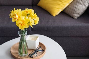 Kahve masasının üzerinde, oturma odasında duran vazoda duran sarı bahar çiçekleri.