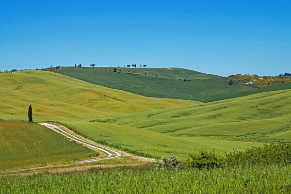 Hermoso paisaje en Toscana, Italia —  Fotos de Stock