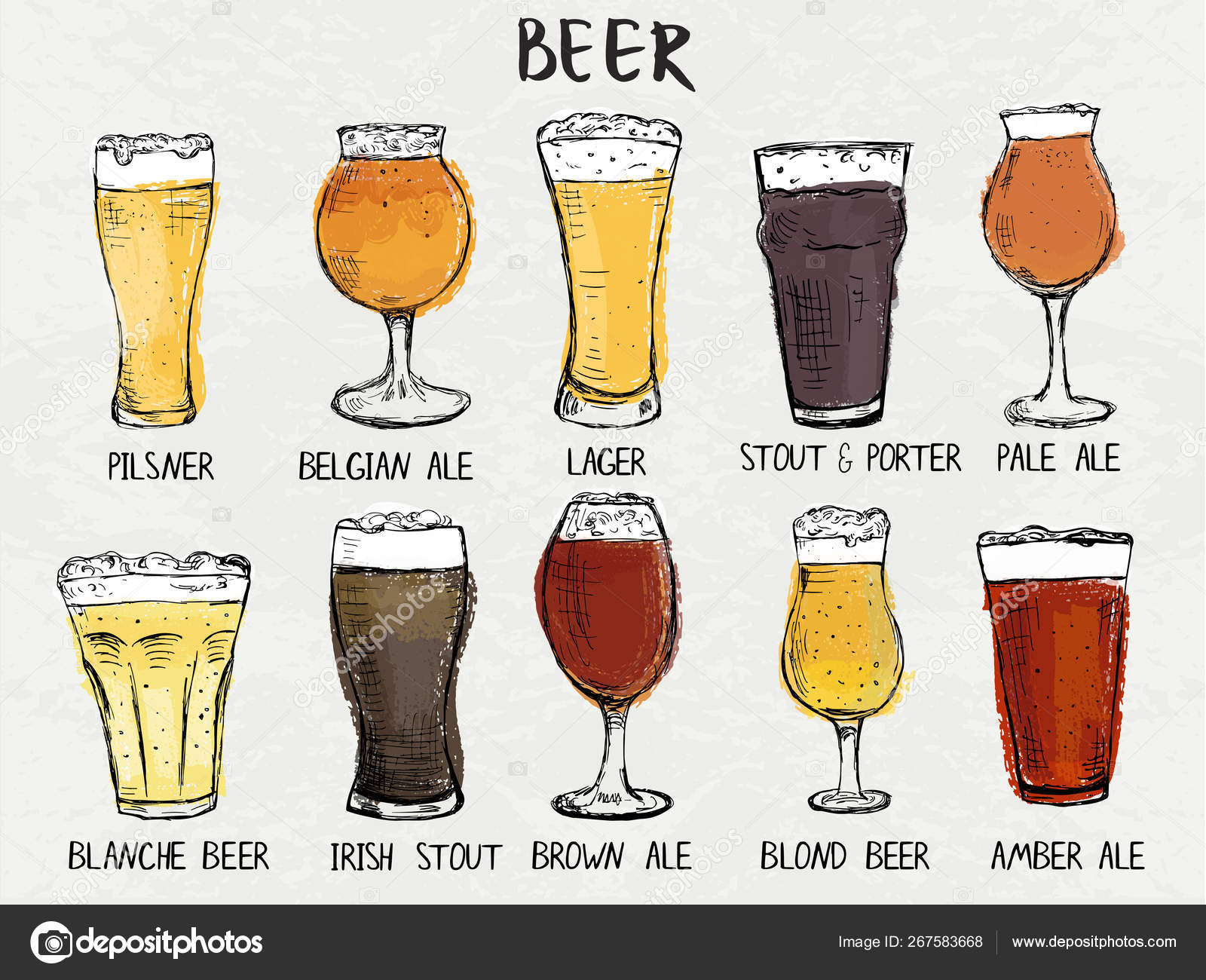 Hand Drawn Det Of Different Types Of Glasses For Beer Vector Image By C Chiociolla Vector Stock 267583668