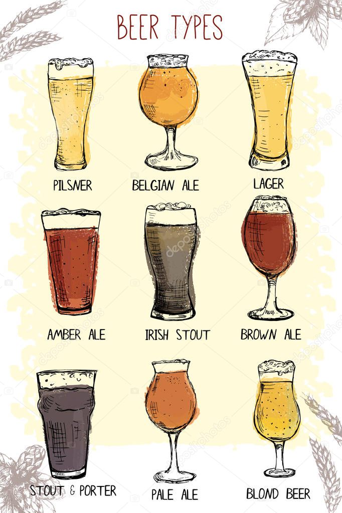 Set of hand drawn beer glasses types