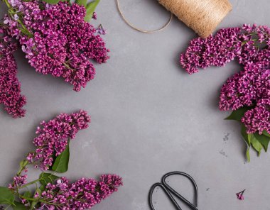 Kopya alanı ile gri beton arka plan üzerinde leylak çiçek Brunches.