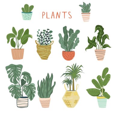 Farklı karanfiller kümesi