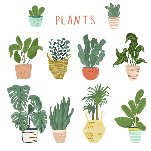 Zbiór różnych rośliny — Wektor stockowy